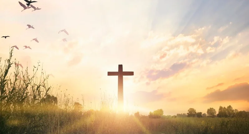 Cross-Border Evolution: AI, Data, and the Future of Global Value